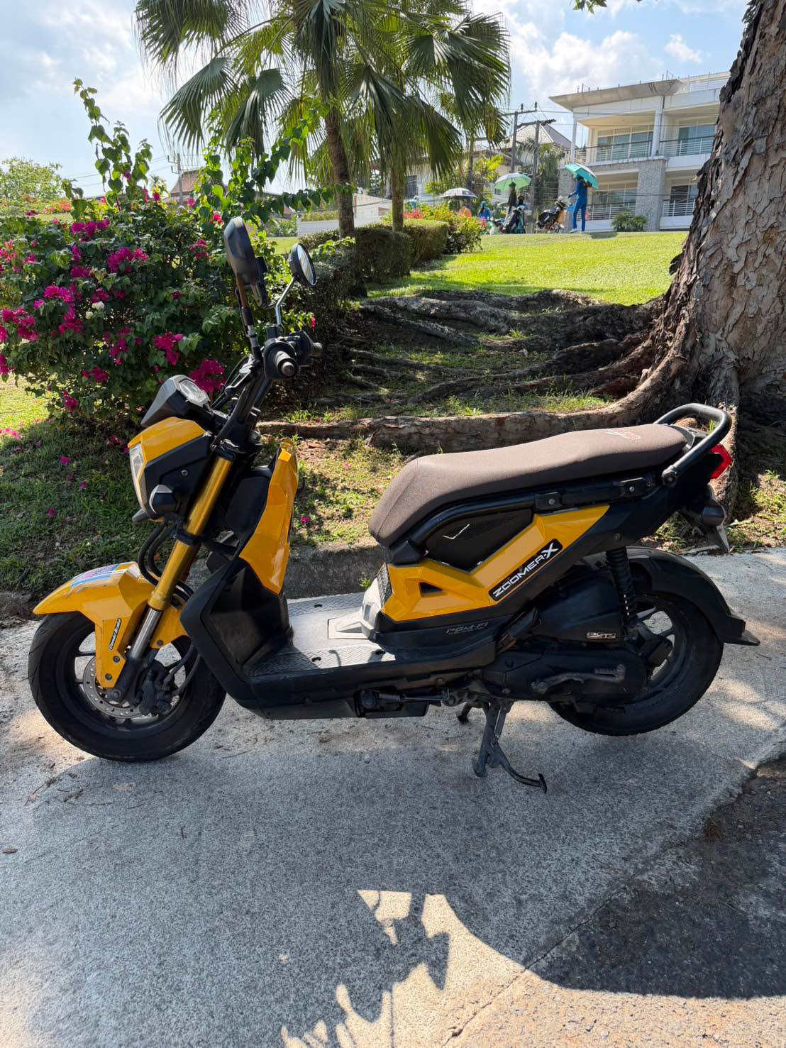 Honda Zoomer-X