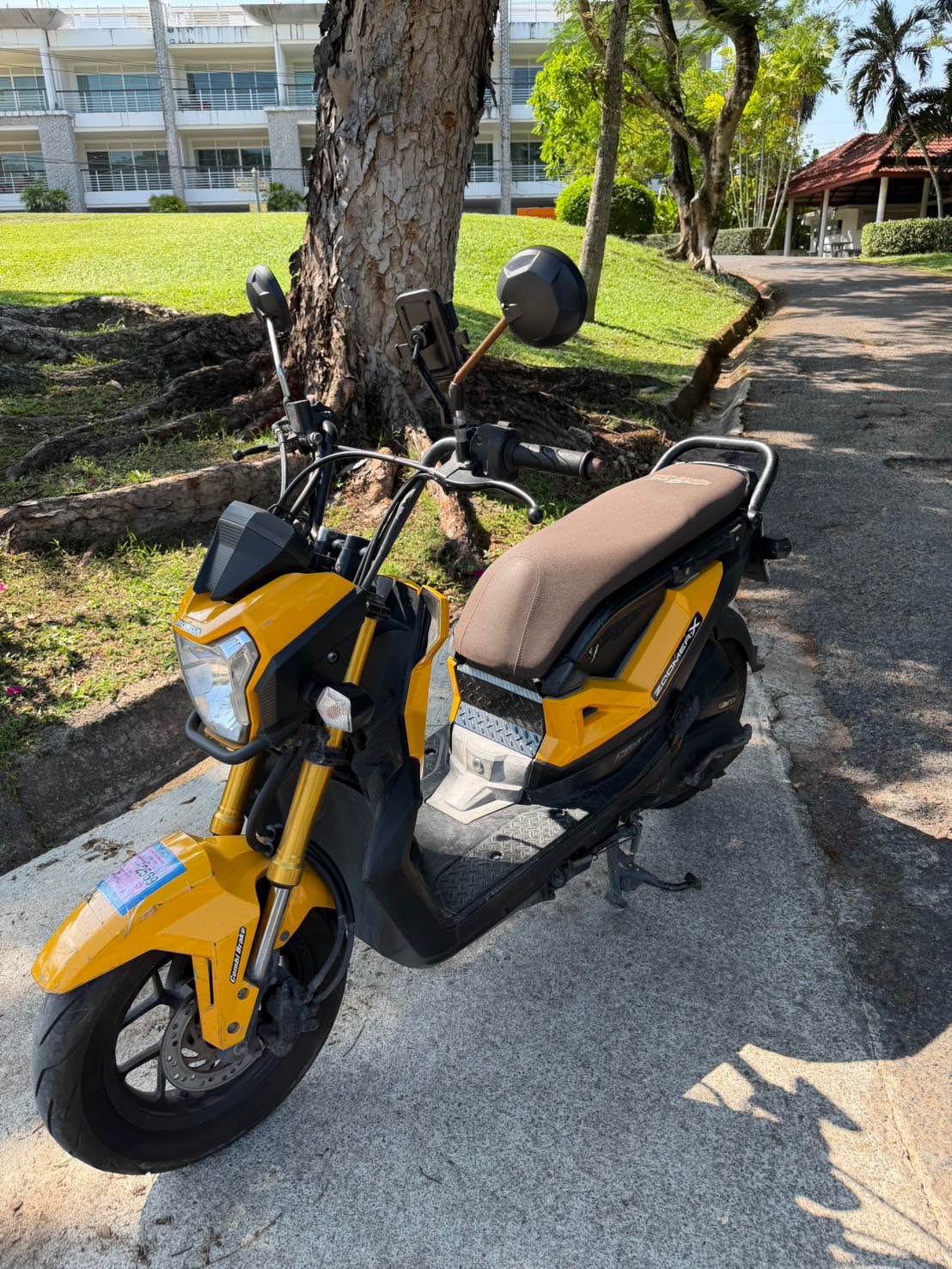 Honda Zoomer-X — photo 2