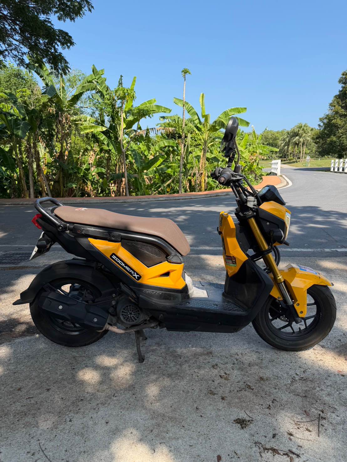 Honda Zoomer-X — photo 3